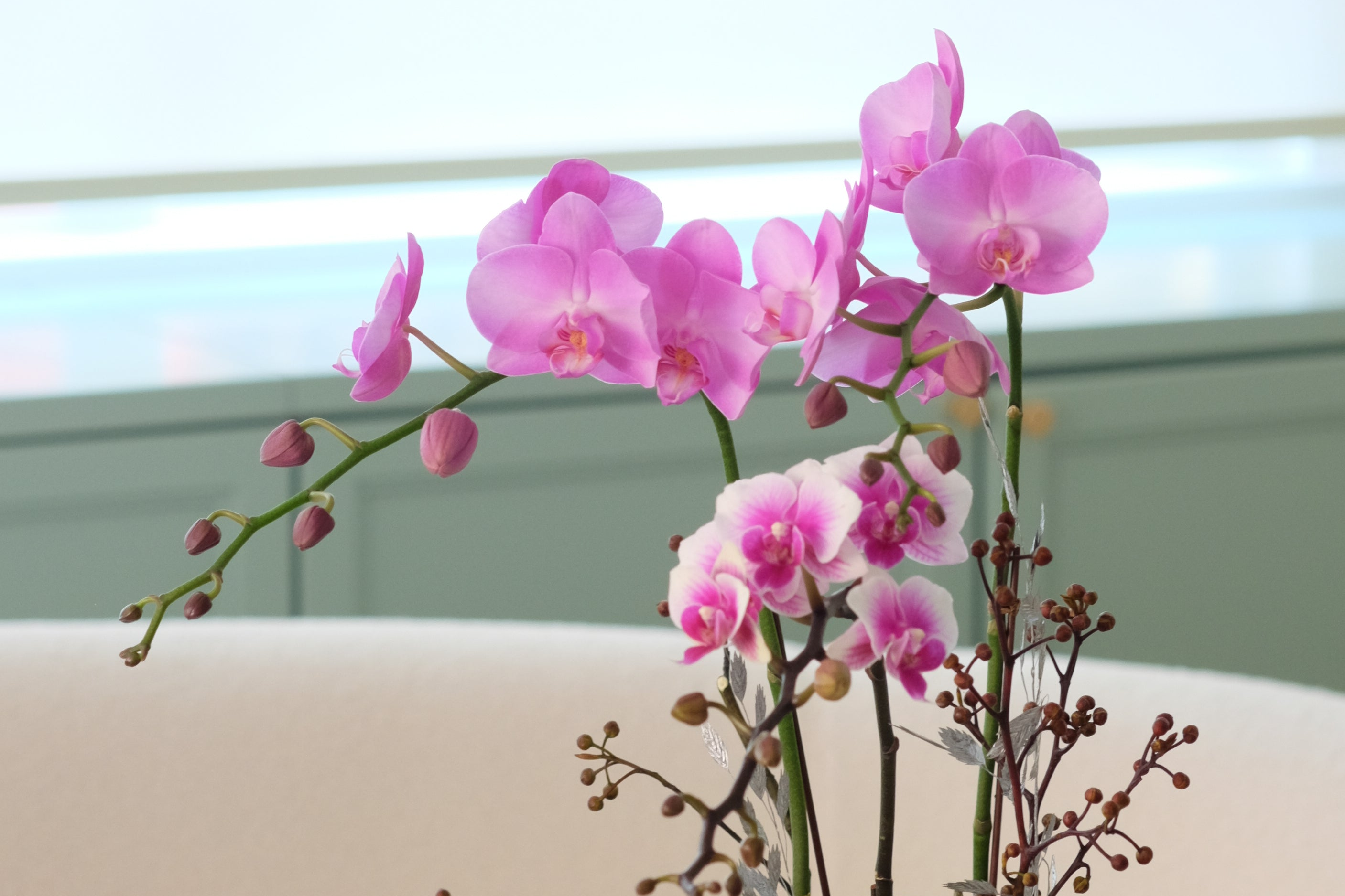 La Prairie CNY Orchid