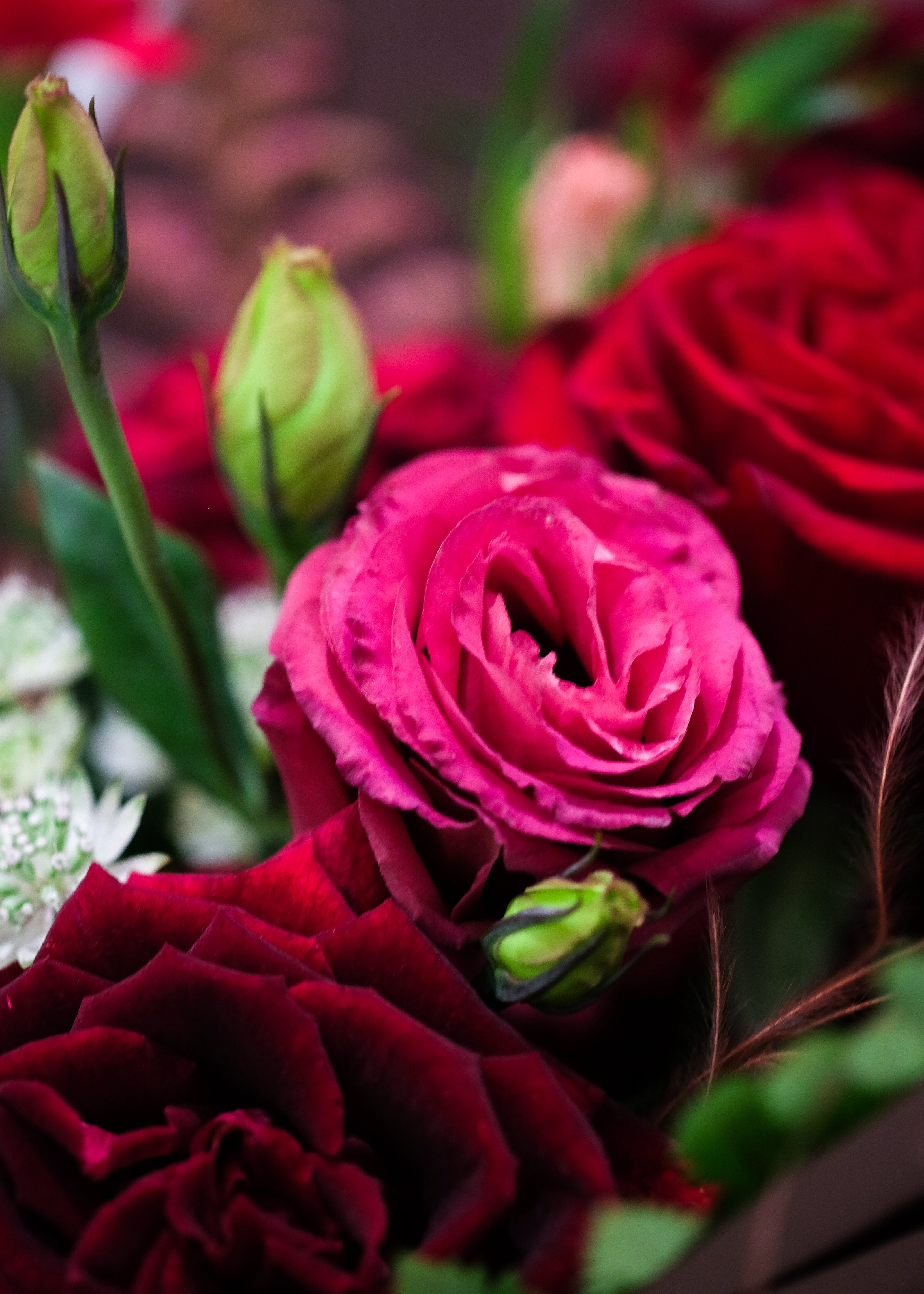 Fleuria Signature Sweet Duet