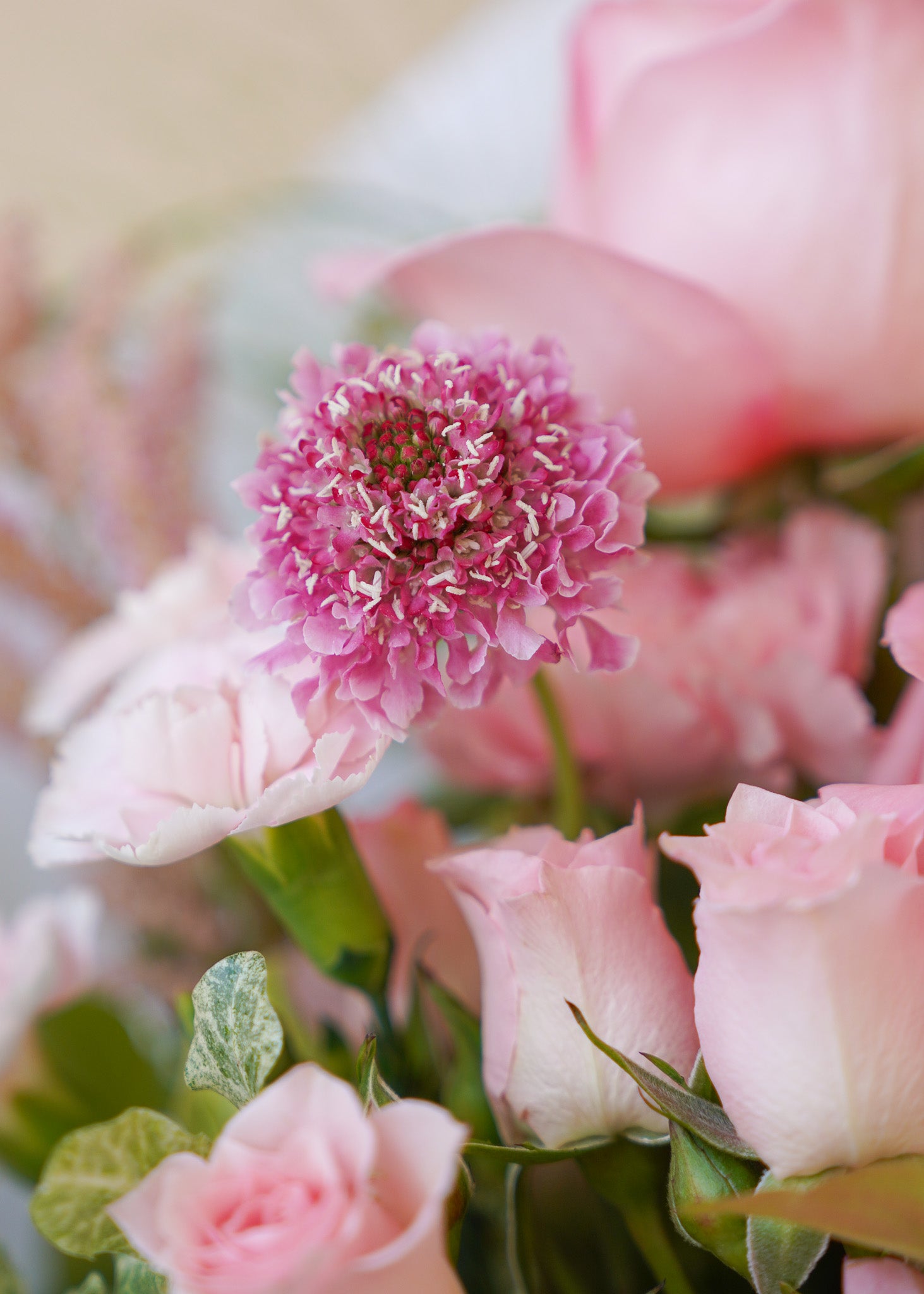 Blushing Beauty 花束