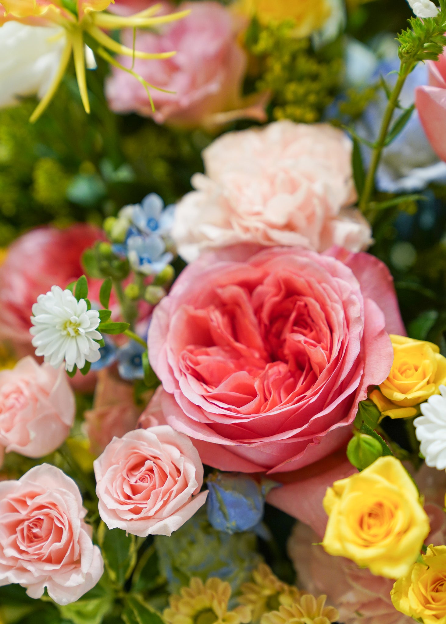 Deluxe Fresh Flower Box