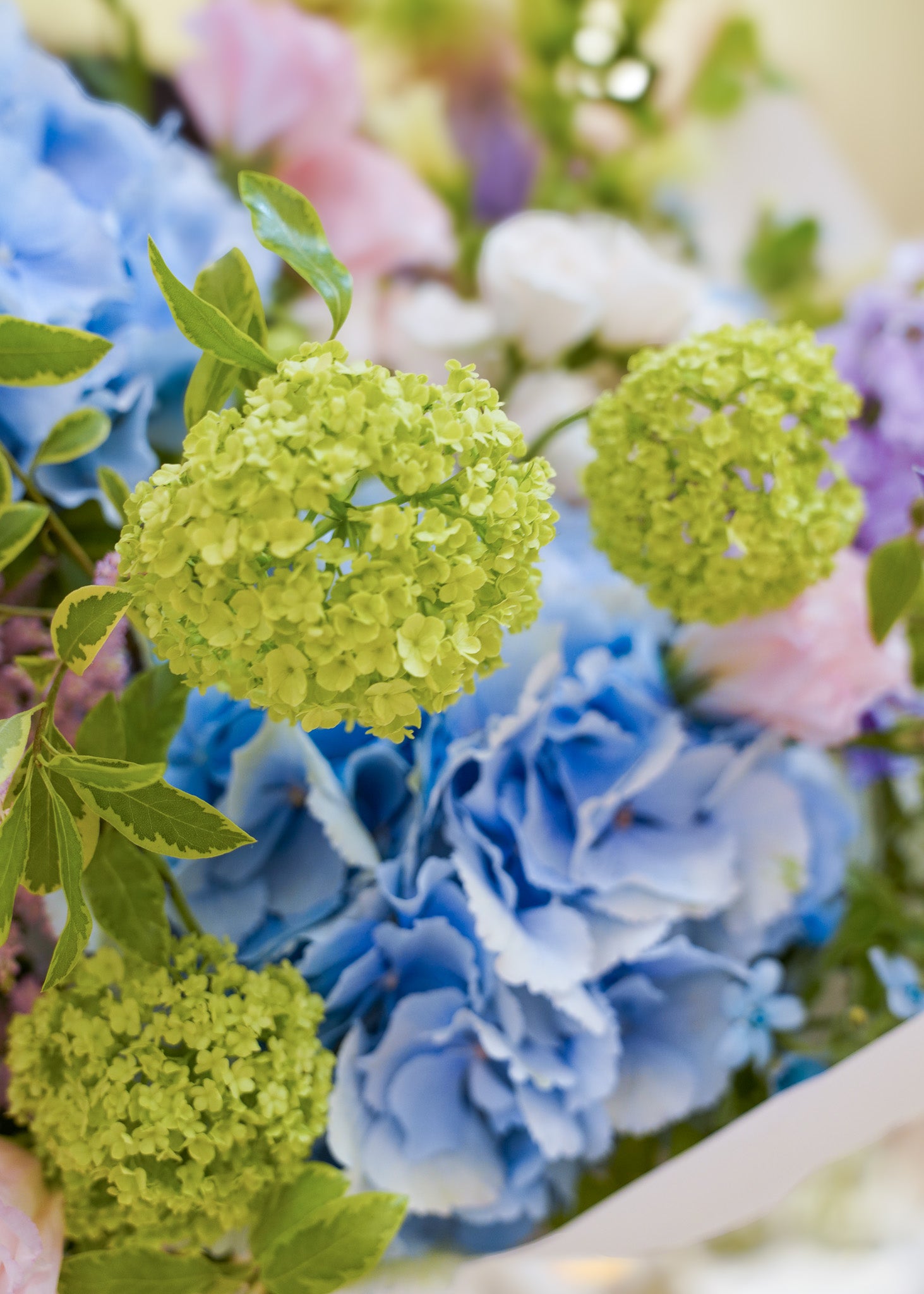 Hydrangea Bouquet