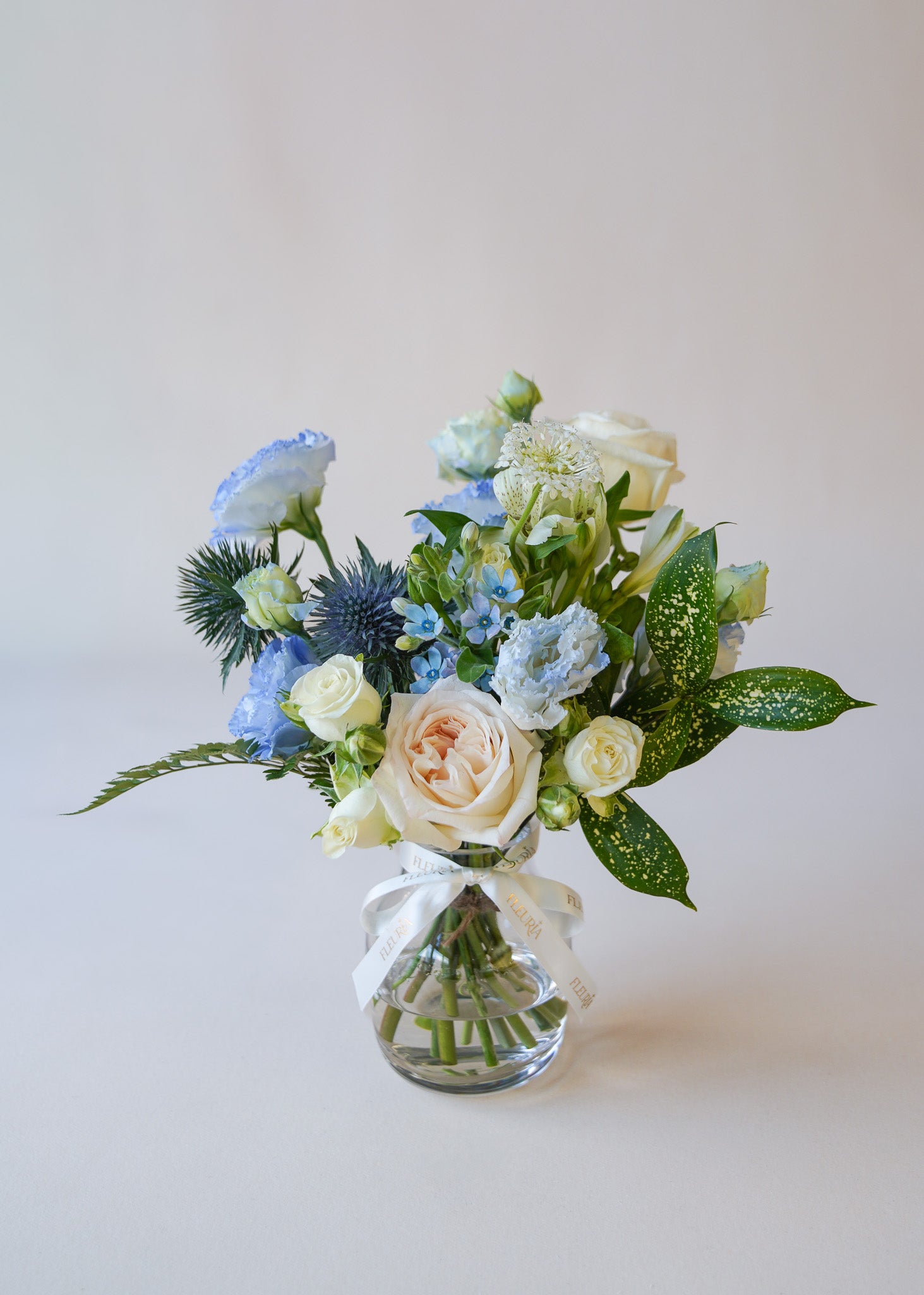 Morning Mist in Vase