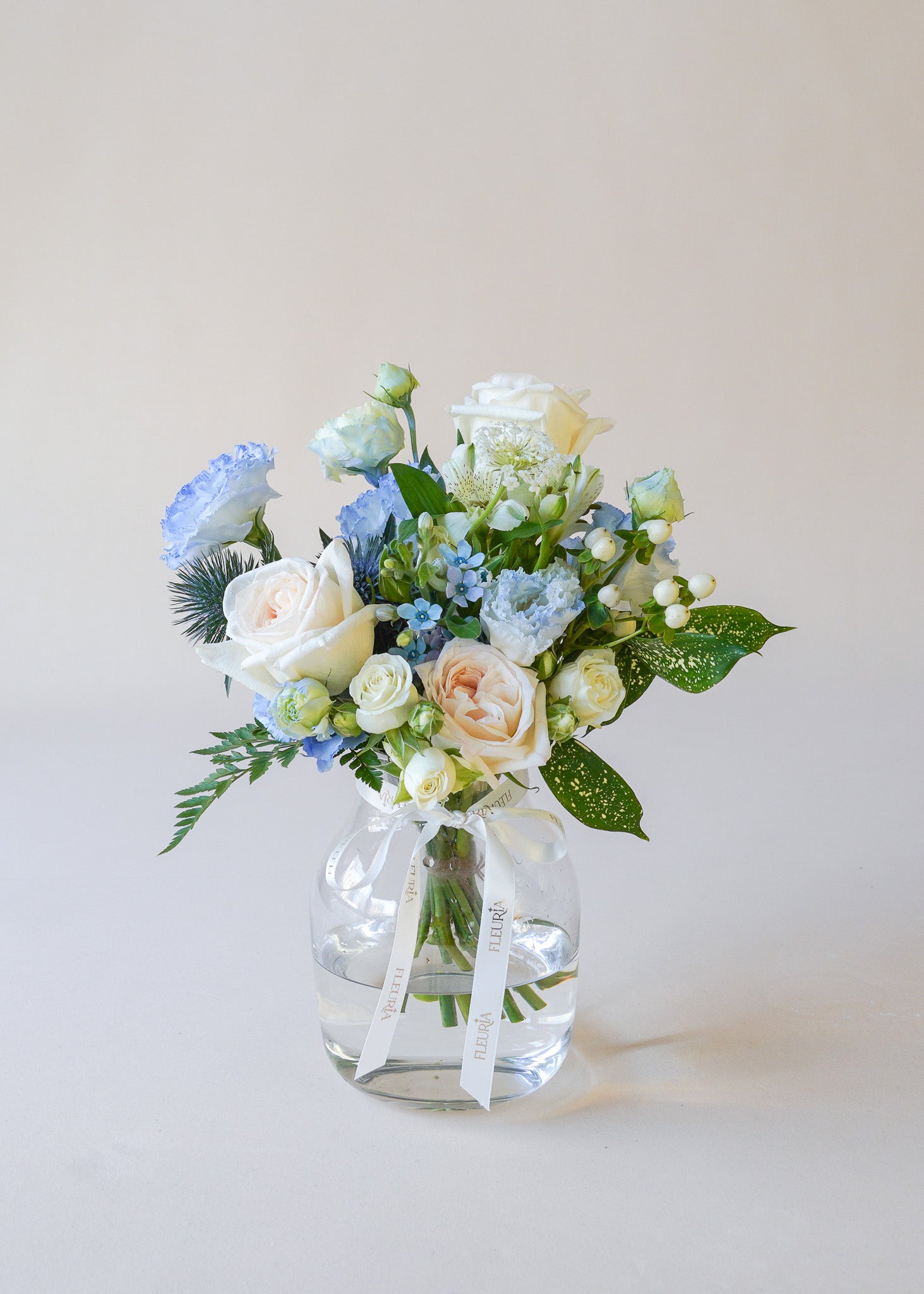 Morning Mist in Vase