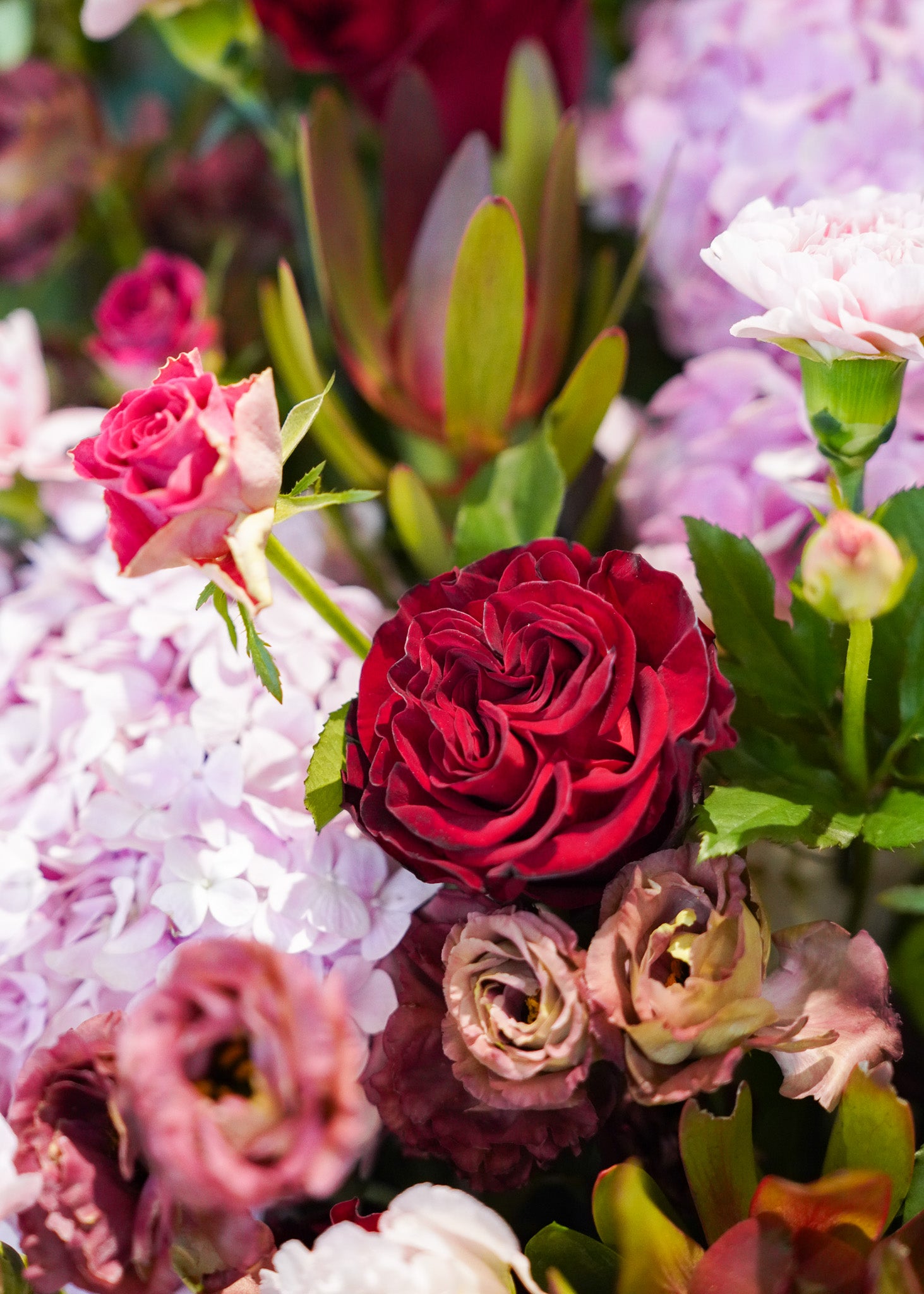 Opening Flower Stand