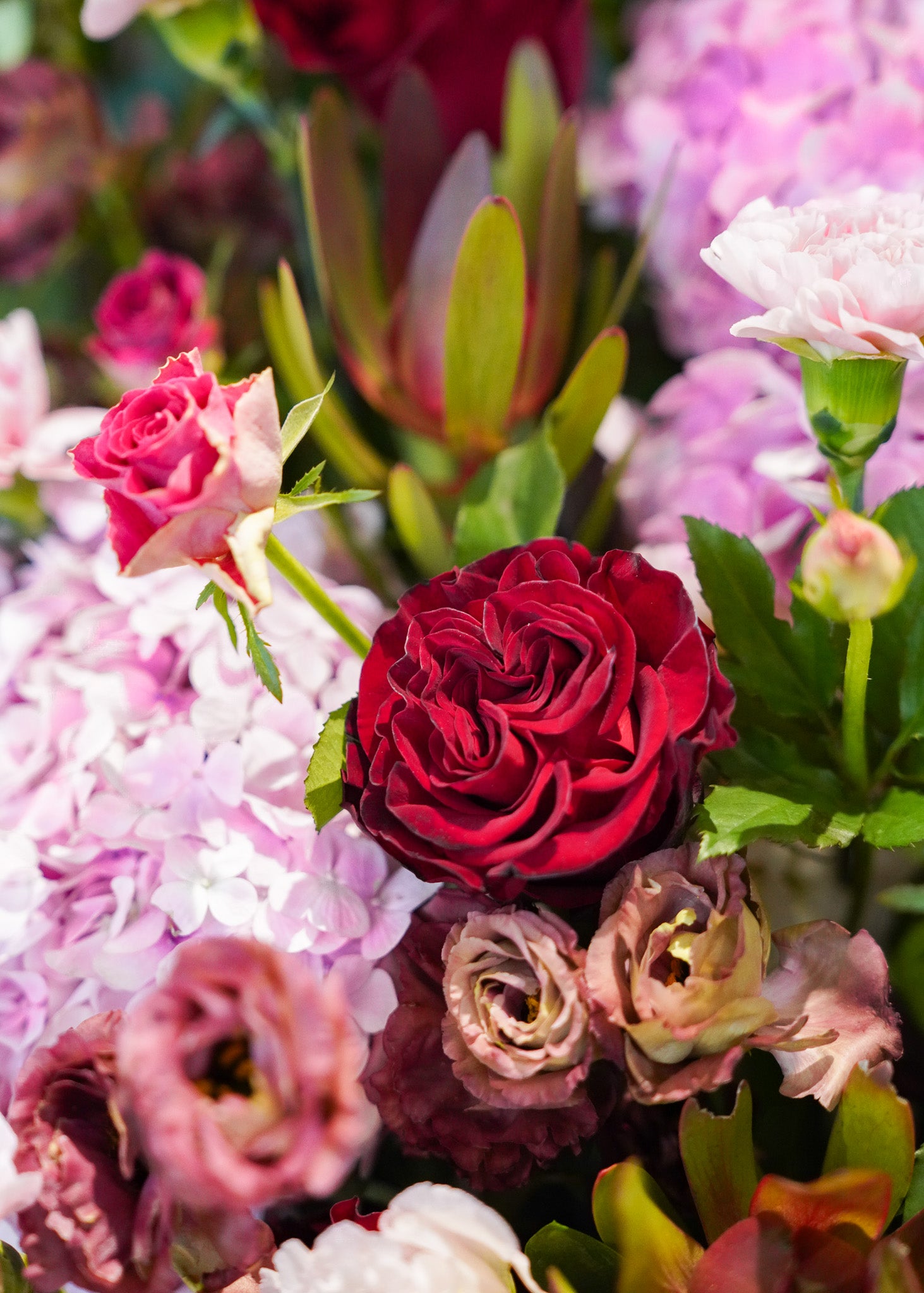 Opening Flower Stand - Red & Pink