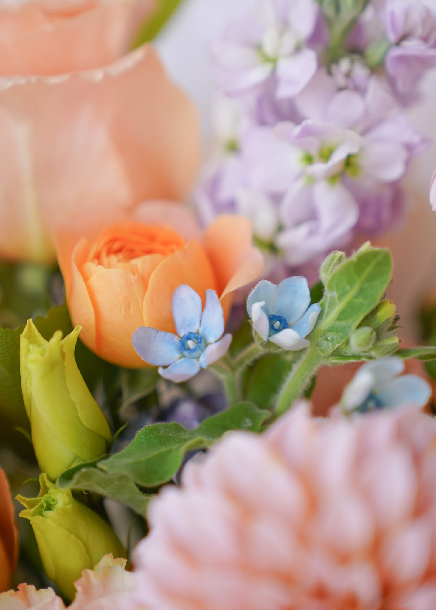 Giverny Summer in Vase