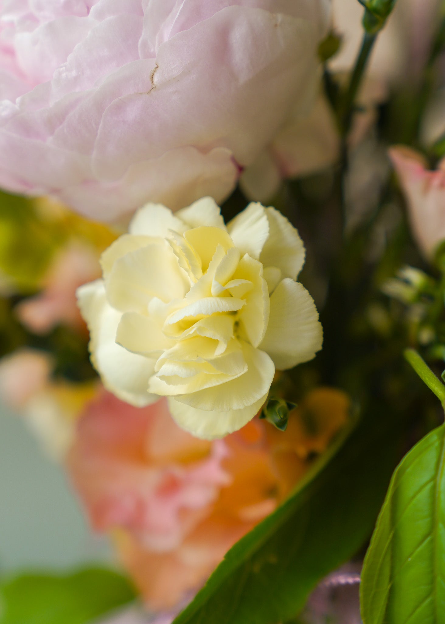 mother's day bouquet Hong Kong flower delivery