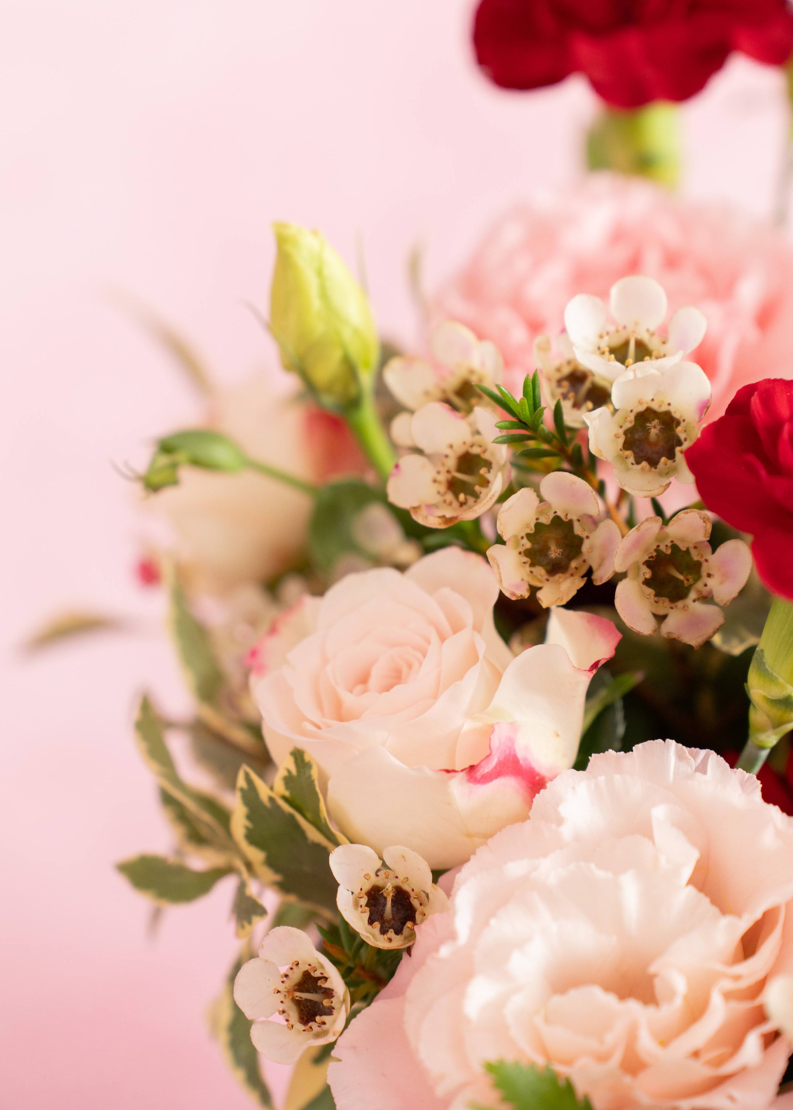 Stylish Surprise Flower Box with Charbonnel Chocolate | Mother's Day Flower Collection