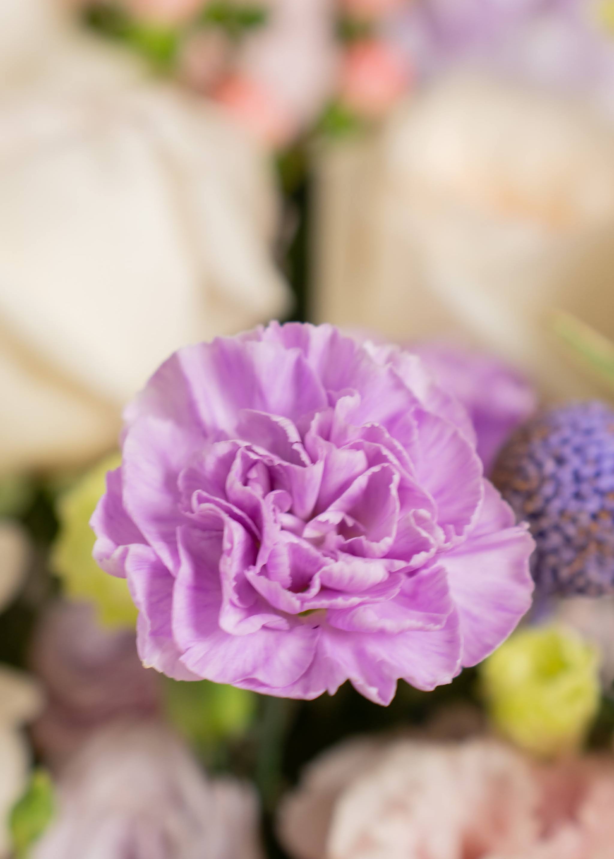 Graceful Love Bouquet | Mother's Day Flower Collection