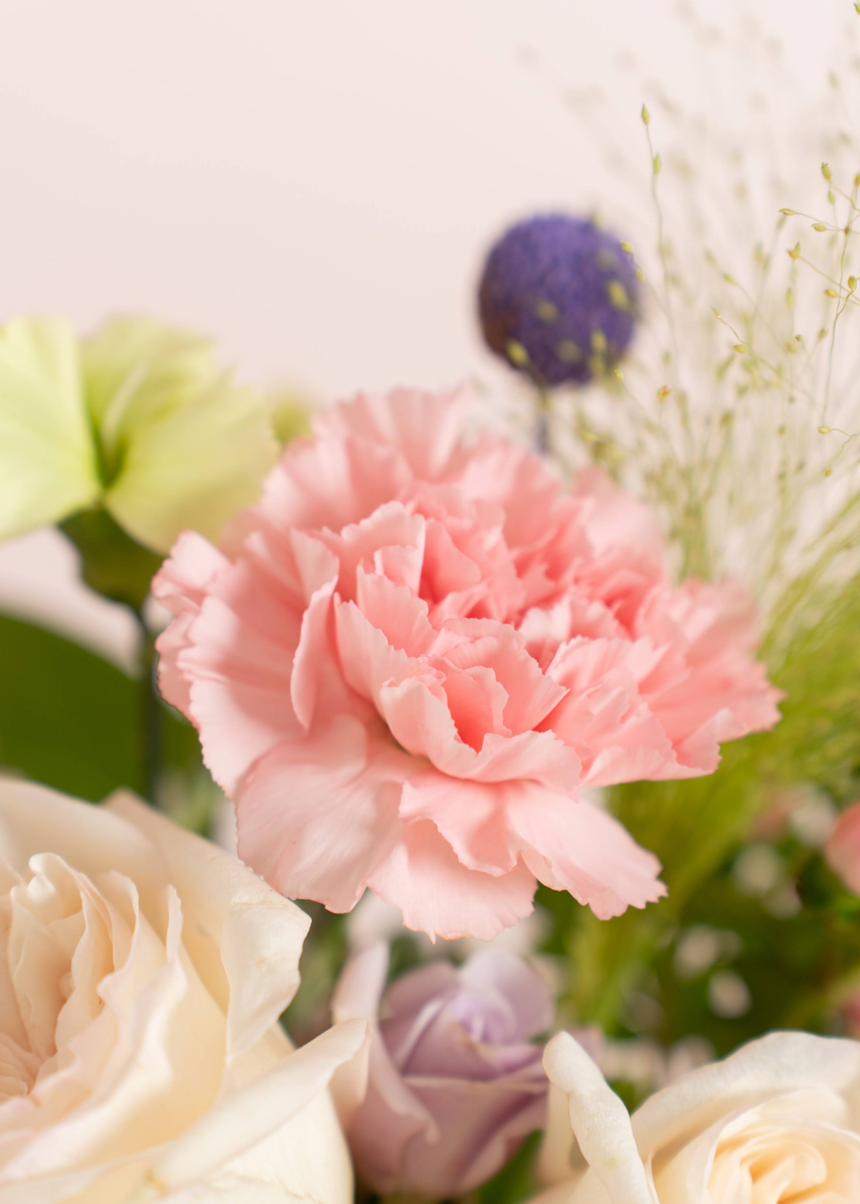 Graceful Love Flower in Vase | Mother's Day Flower Collection