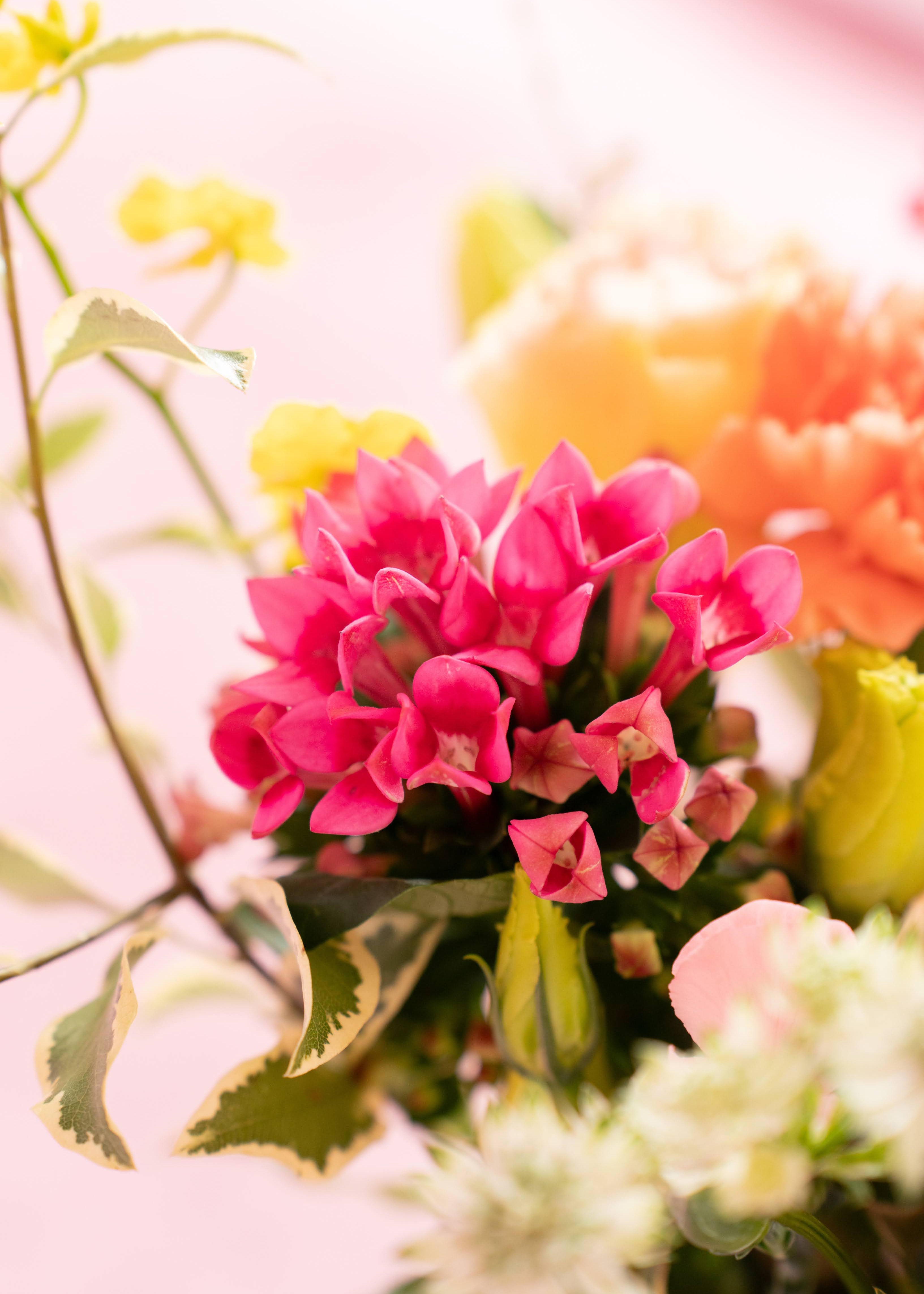 Mom's Radiant Heart Flower in Vase | Mother's Day Flower Collection
