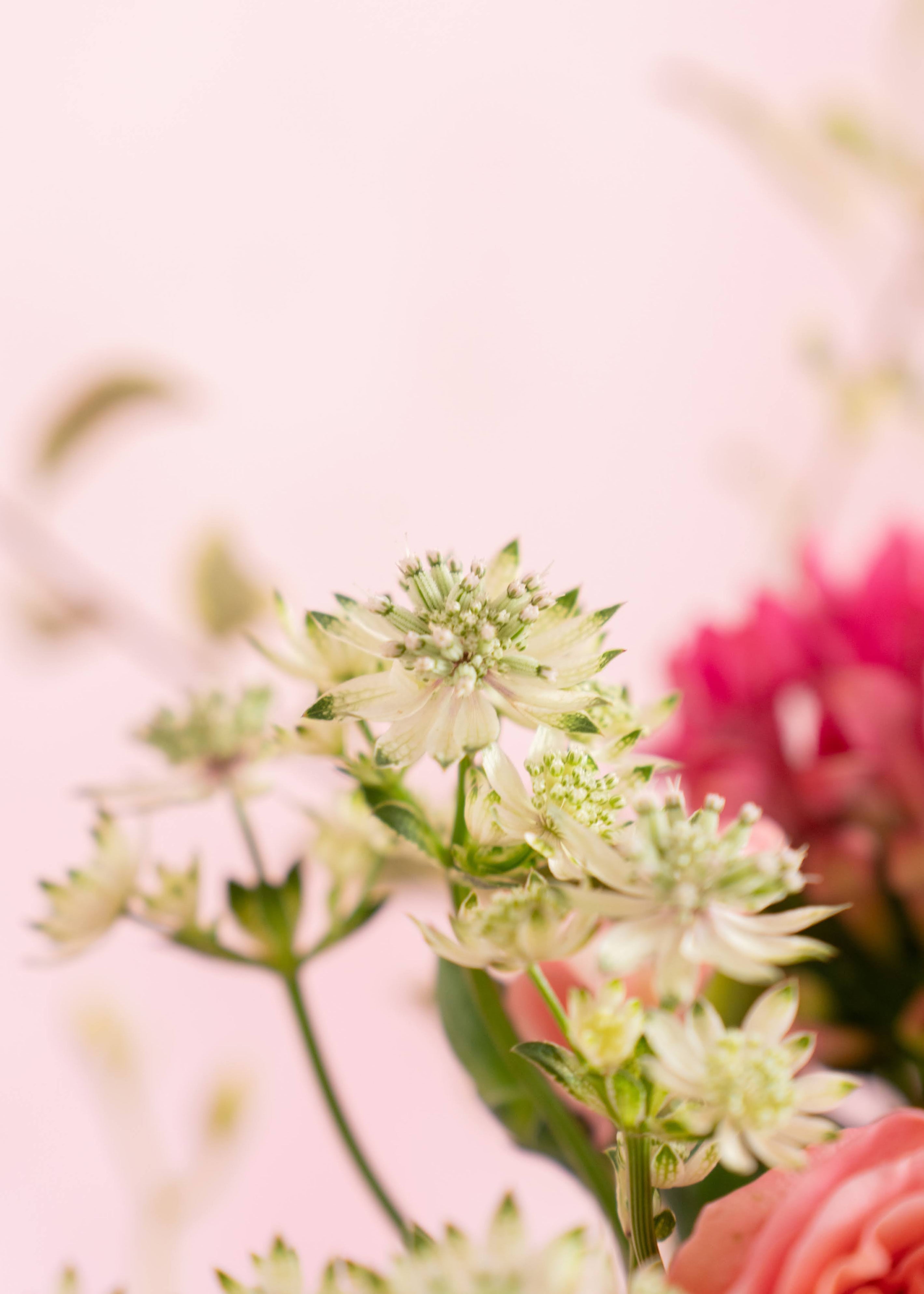 Mom's Radiant Heart Flower in Vase | Mother's Day Flower Collection
