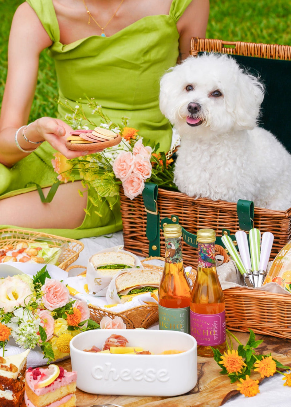 Pet Picnic Basket [Fleuria x Wow We Made]