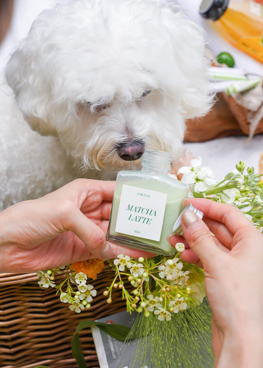 Pet Picnic Treat Set [Fleuria x Wow We Made]
