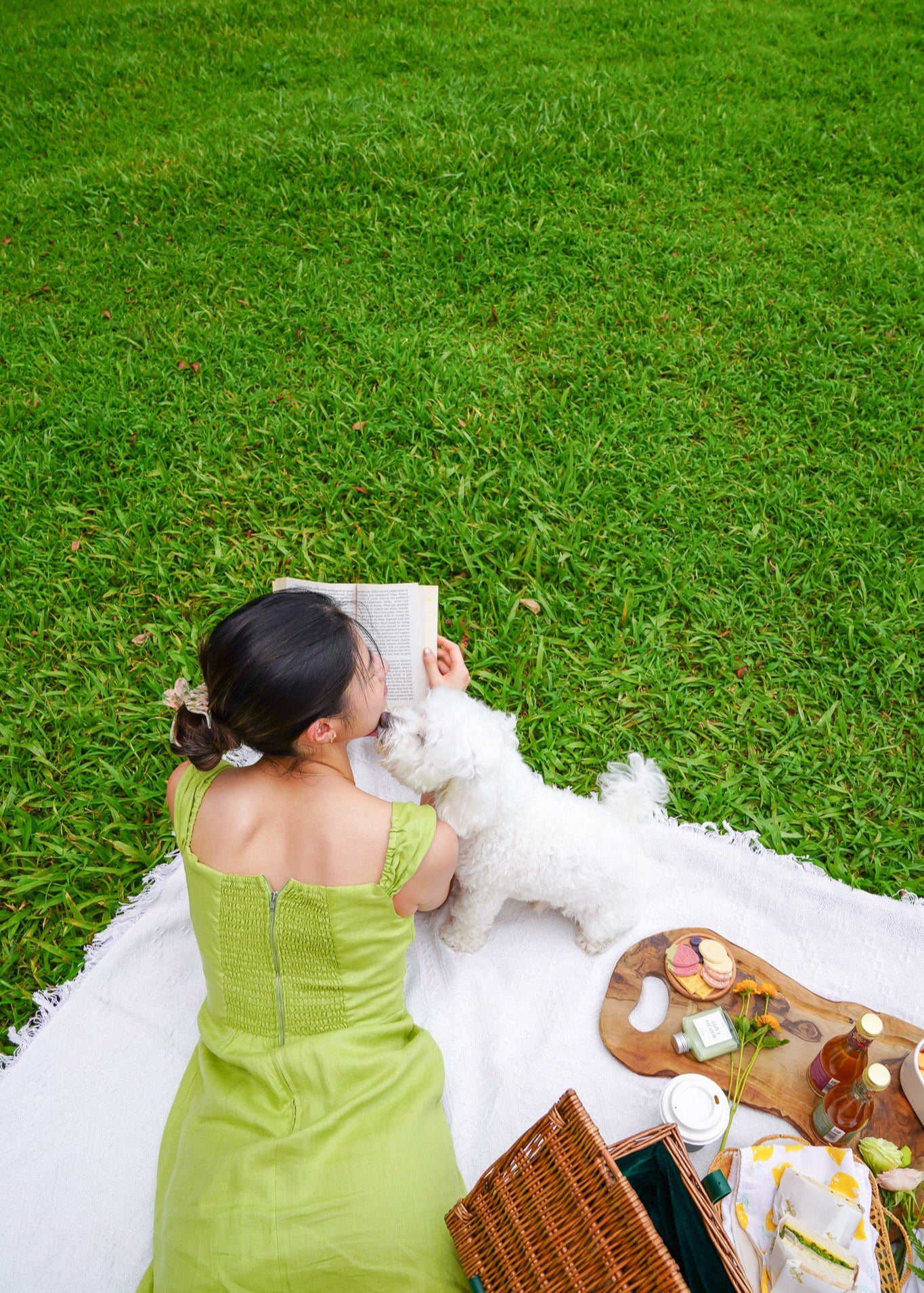Pet Picnic Treat Set [Fleuria x Wow We Made]