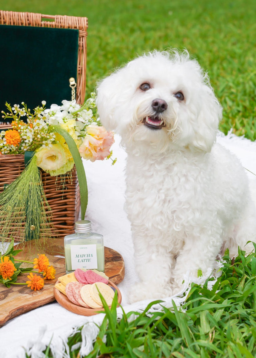 Pet Picnic Treat Set [Fleuria x Wow We Made]