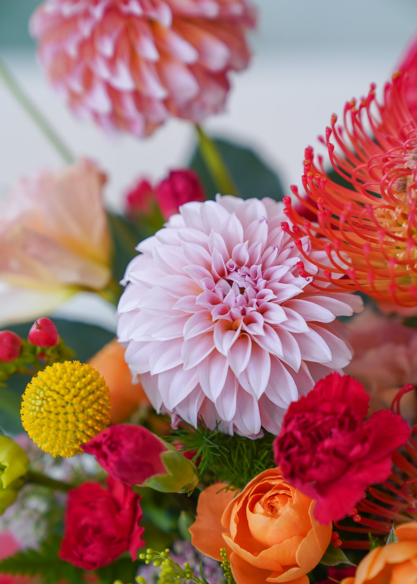 A close-up of a vibrant mixed flower bouquet featuring a pale pink dahlia, a bright red protea, orange roses, and yellow accents against a soft, blurred light gray background.