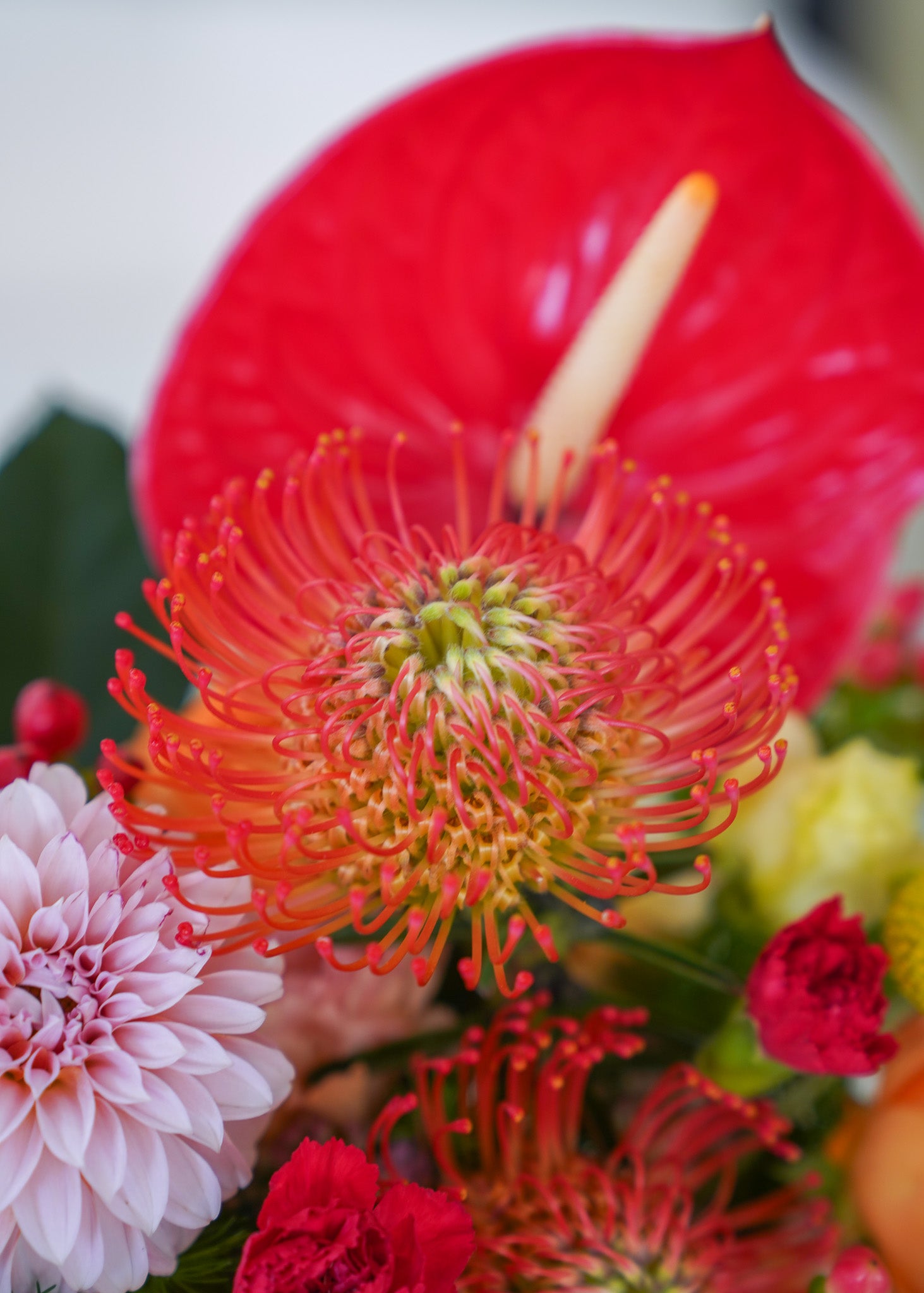 A close-up of a vibrant floral arrangement featuring a prominent red anthurium, bright orange-red protea, a pale pink dahlia, and other red and yellow flowers with green foliage.