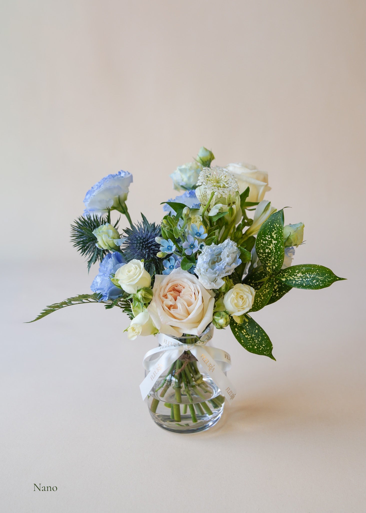 Morning Mist in Vase