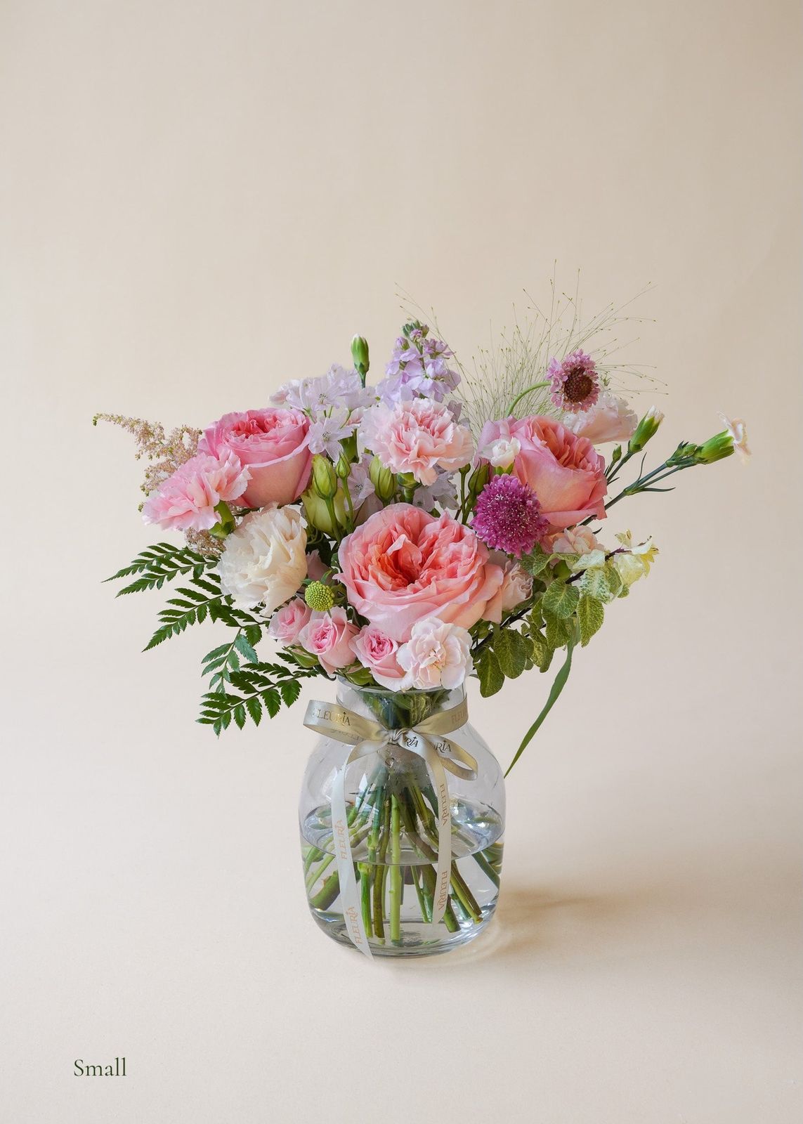 Blushing Beauty in Vase